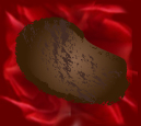 Dark Chocolate Truffle